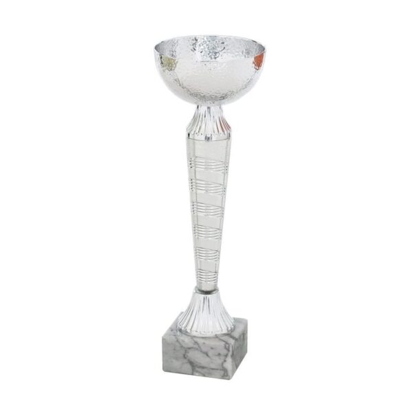 Pokali posamezno Pokal EL304_19/S višina 25 cm