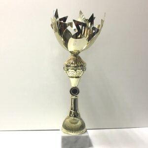 Pokali ugodno z napako Pokal višina 38 cm outlet